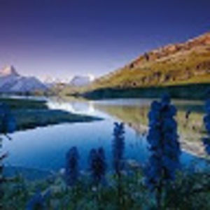 Meet your Posher, Ziad